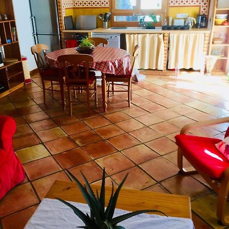 Rez De Jardin De Chalet Bois , Calme Et Verdure ! Saint-Martin-Vesubie Ngoại thất bức ảnh